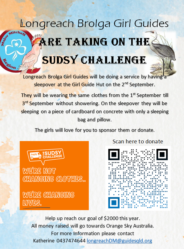 Sudsy challenge
